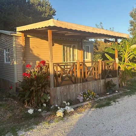 Proche * Latour-Bas-Elne