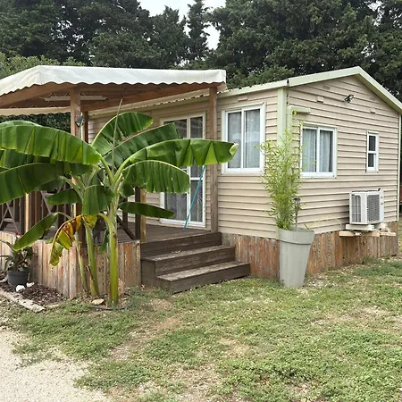 Proche Lantställe Latour-Bas-Elne